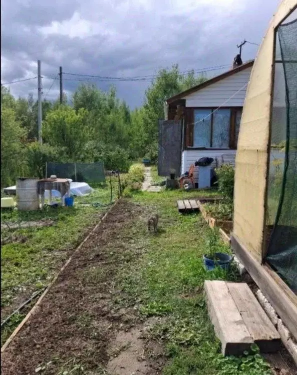 Дом в Иркутская область, Иркутский муниципальный округ, Минерал СНТ ... - Фото 2