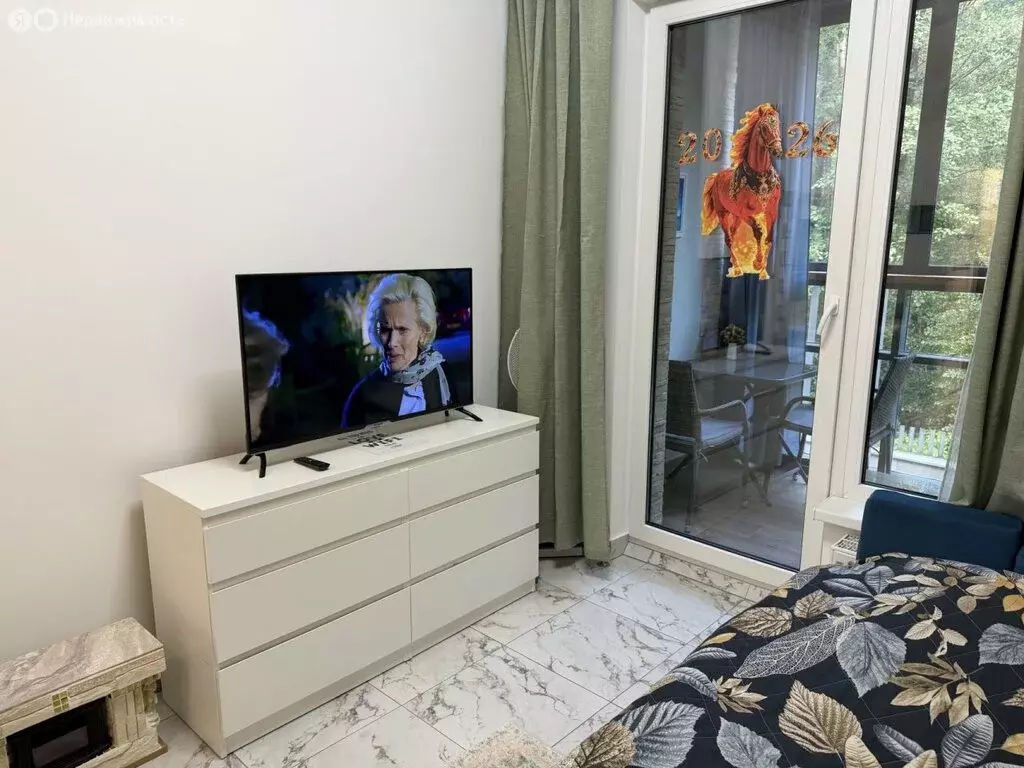 Квартира-студия: Сестрорецк, улица Инструментальщиков, 18с1 (27.5 м) - Фото 2