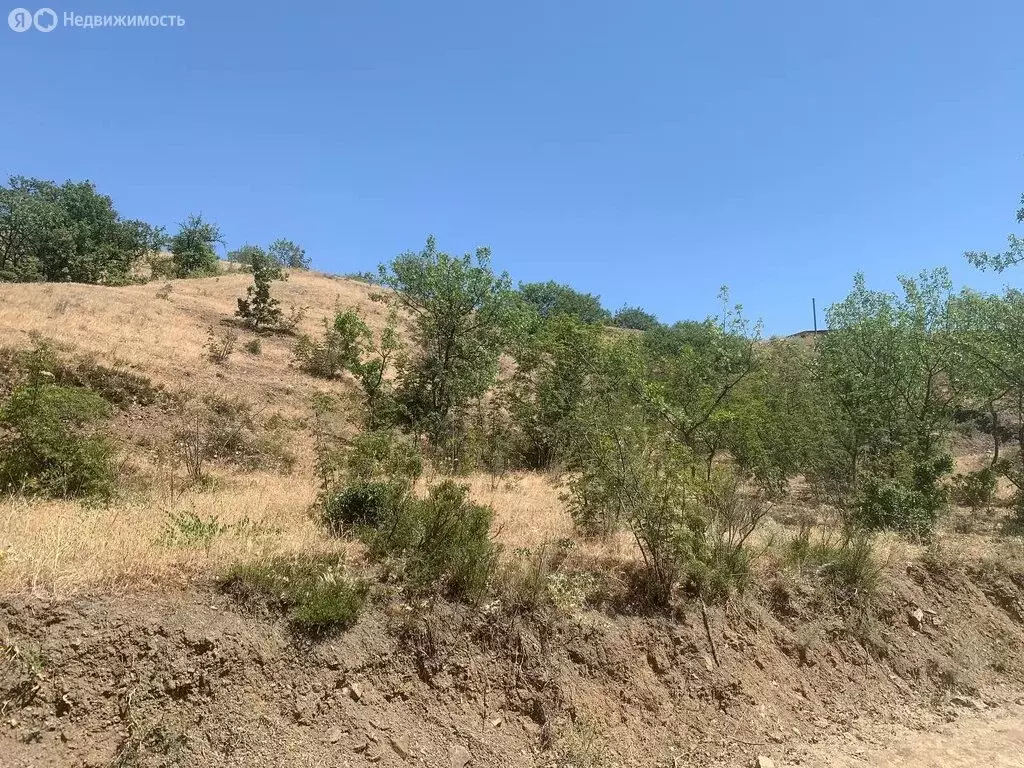 Участок в Приветное, улица Фросинлер (8 м) - Фото 1