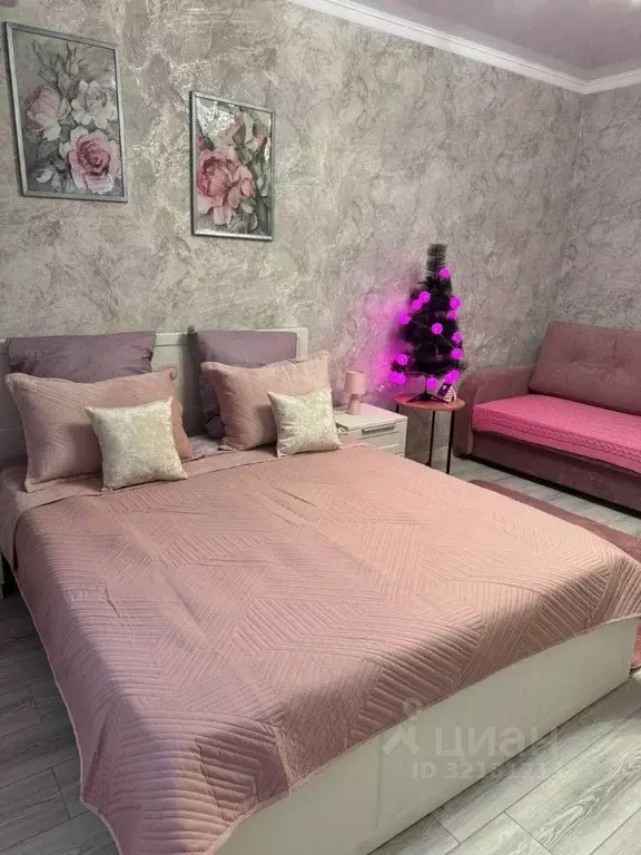 1-к кв. Ставропольский край, Железноводск городской округ, пос. ... - Фото 2