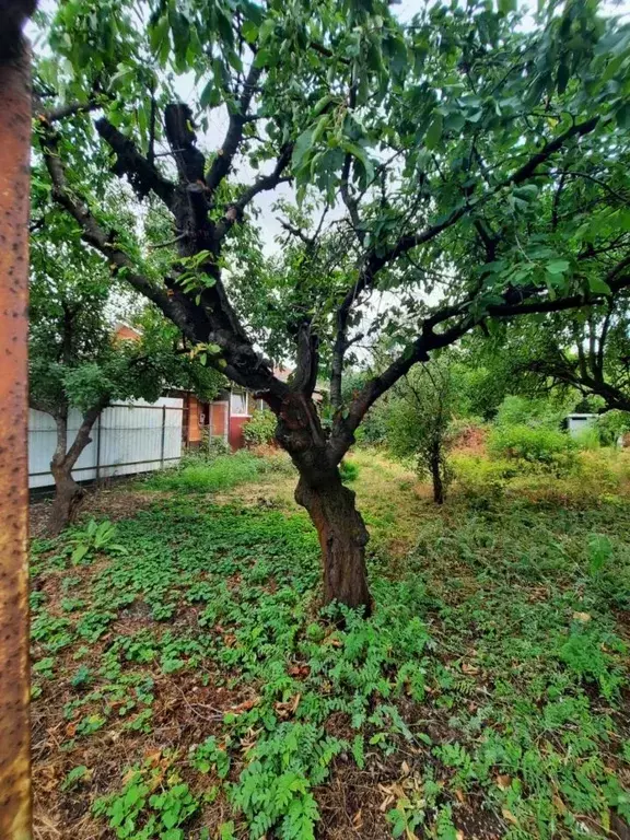 Участок в Ростовская область, Ростов-на-Дону Архитектурная ул., 69 ... - Фото 1