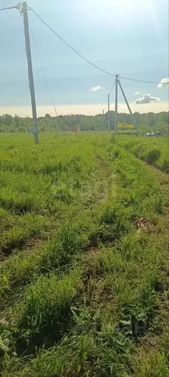 Участок в Новгородская область, Чудовский район, Трегубовское с/пос, ... - Фото 1