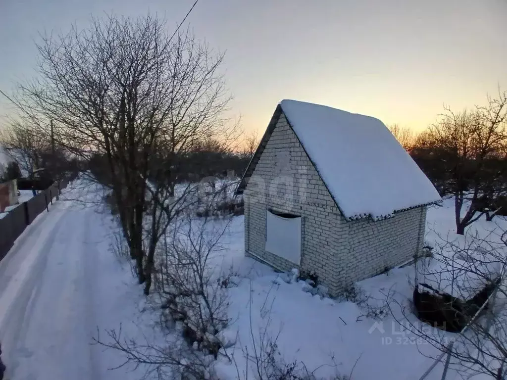 Участок в Брянская область, Брянский район, Снежское с/пос, пос. ... - Фото 1
