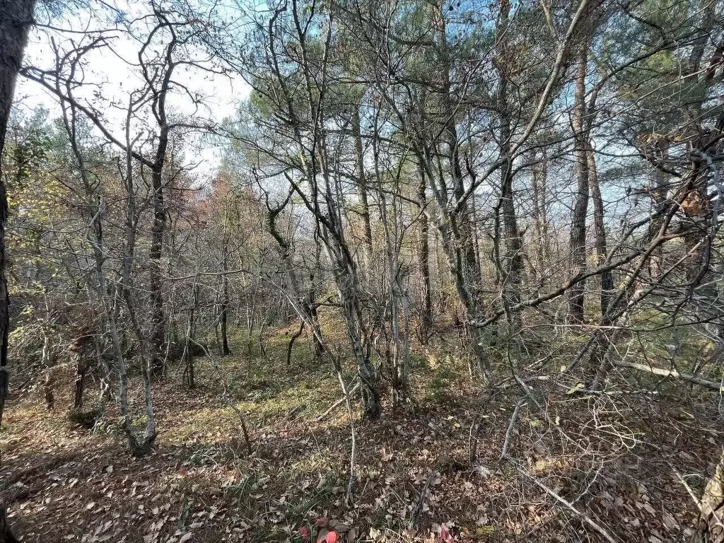 Участок в Краснодарский край, Геленджик  (35.0 сот.) - Фото 2