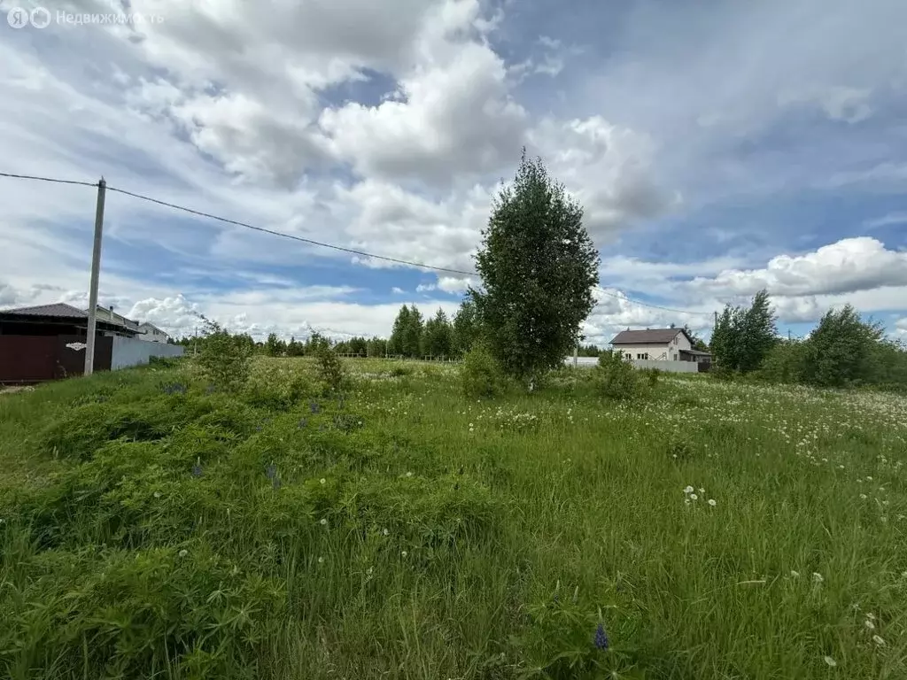 Участок в Республика Марий Эл, городской округ Йошкар-Ола, деревня ... - Фото 2