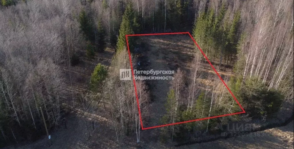 Участок в Ленинградская область, Выборгский район, Первомайское с/пос, ... - Фото 1