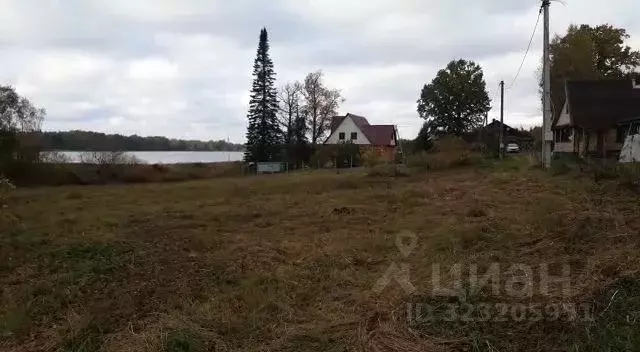 Участок в Псковская область, Плюсский муниципальный округ, д. Заозерье ... - Фото 2