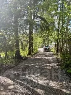 Участок в Санкт-Петербург, Санкт-Петербург, Зеленогорск Загородная ... - Фото 1