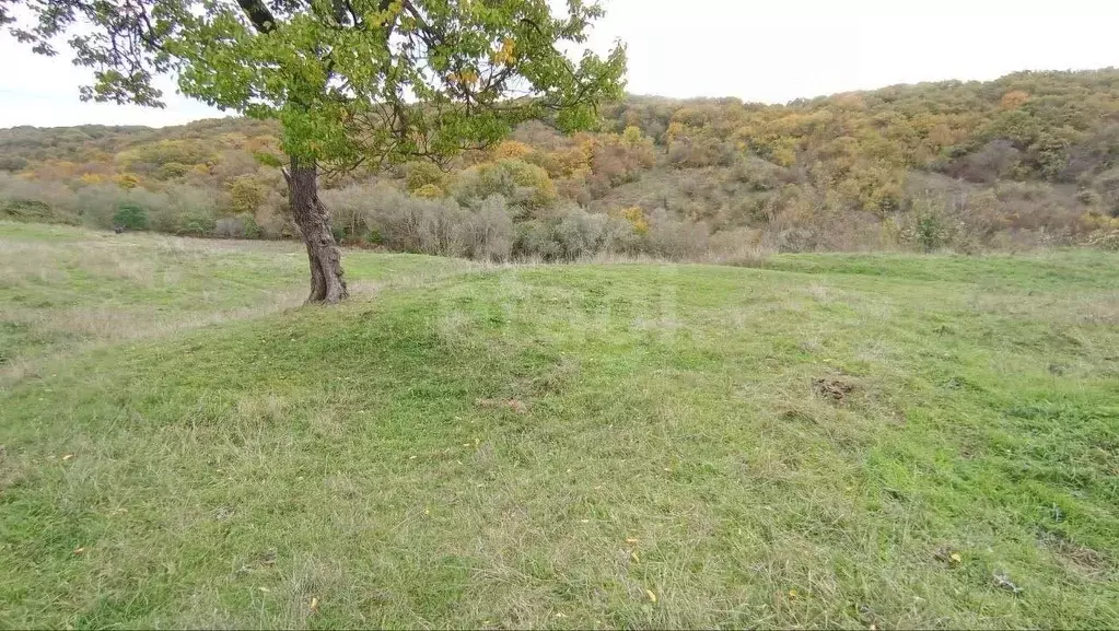 Участок в Крым, Кировский район, Старый Крым городское поселение ул. ... - Фото 1