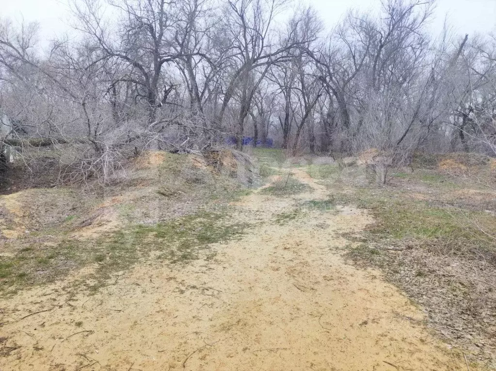 Участок в Волгоградская область, Волгоград Поселок 19 Партсъезда тер., ... - Фото 1