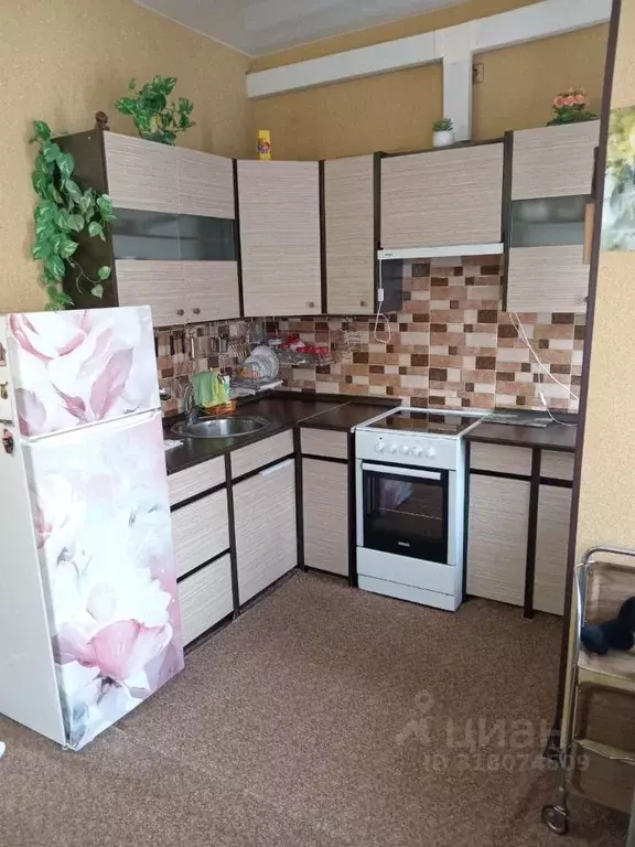 Студия Краснодарский край, Сочи ул. Макаренко, 8/9 (20.9 м) - Фото 0