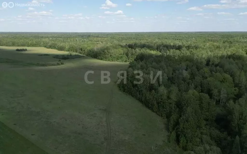 Участок в Тюменский муниципальный округ, деревня Елань (5 м) - Фото 0