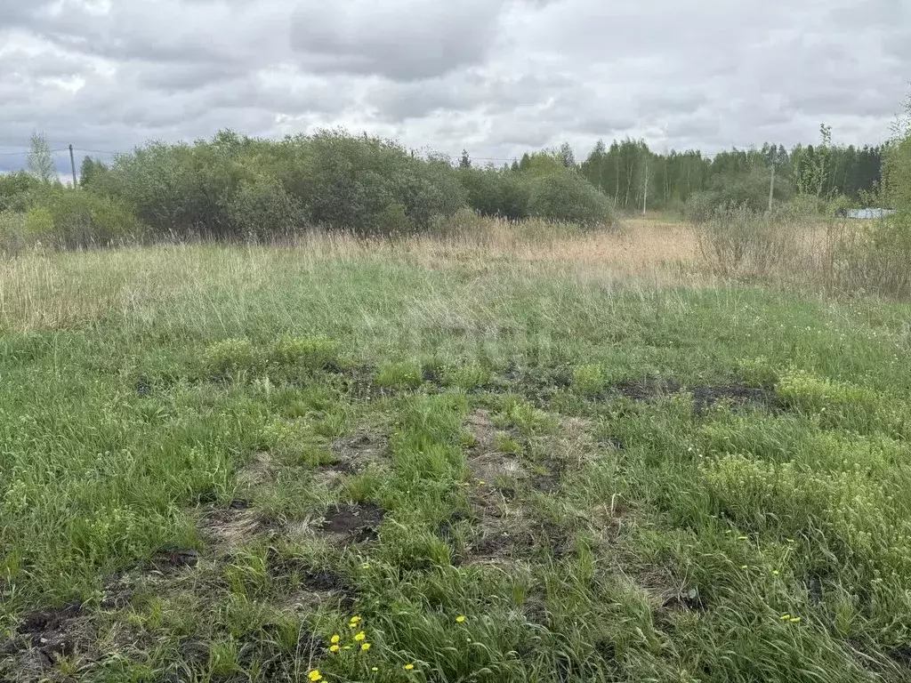 Участок в Тюменская область, Тюмень Садовое товарищество Липовый ... - Фото 0
