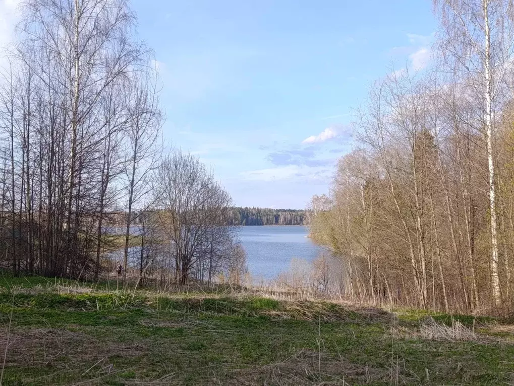 Участок в Московская область, Рузский муниципальный округ, д. Апухтино ... - Фото 1