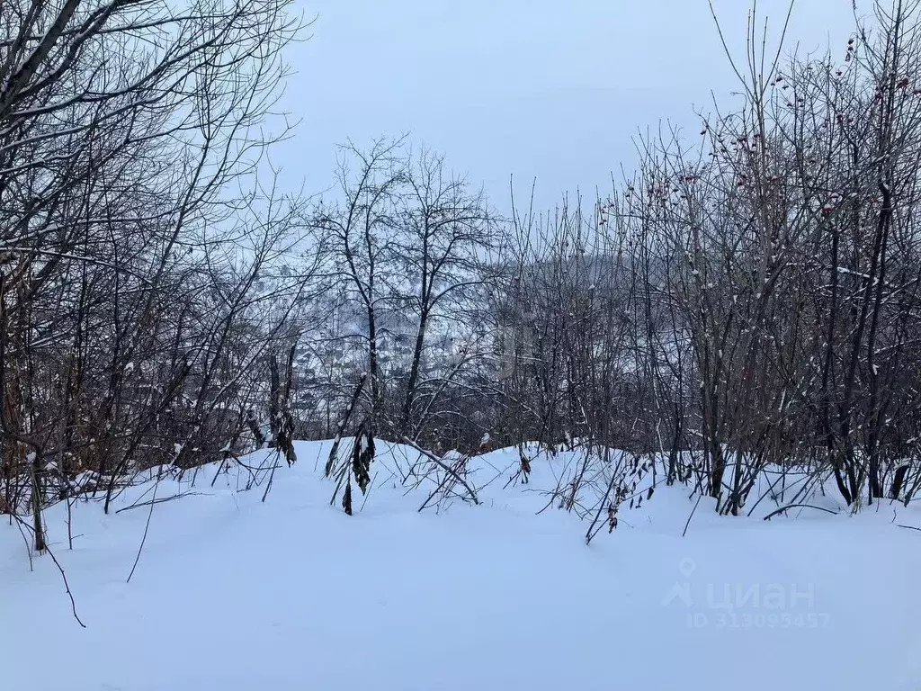 Участок в Алтай, Горно-Алтайск Восток-2 СНТ,  (5.1 сот.) - Фото 0