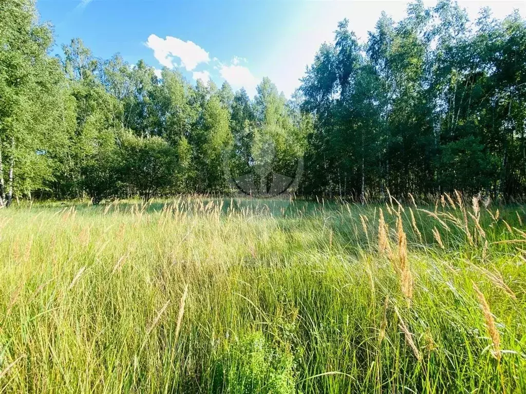 Участок в Рязанская область, Рязанский район, Варсковское с/пос, пос. ... - Фото 1