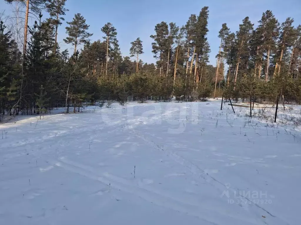 Участок в Забайкальский край, Читинский район, Смоленское с/пос, ... - Фото 1