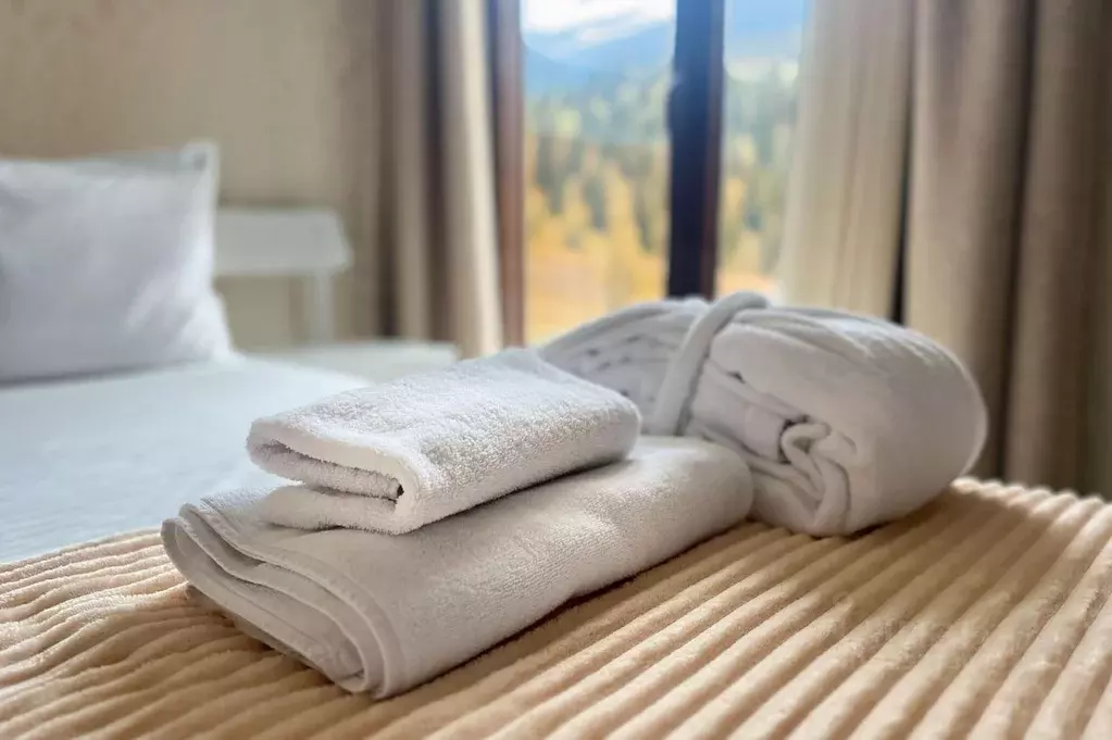 Комната Краснодарский край, Сочи Красная Поляна пгт, ул. Мичурина, 10 ... - Фото 2