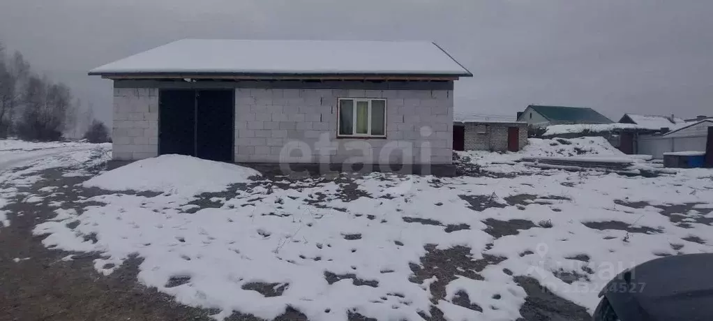 Дом в Брянская область, Брянск Большое Полпино пгт, ул. Чапаева (117 ... - Фото 0