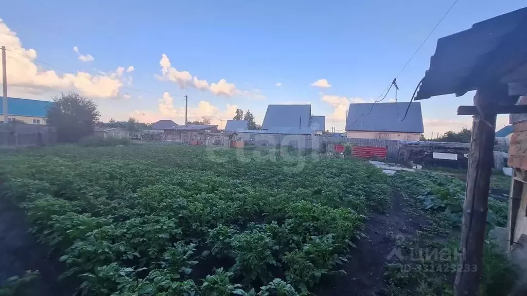 Участок в Курганская область, Кетовский муниципальный округ, д. Белый ... - Фото 1