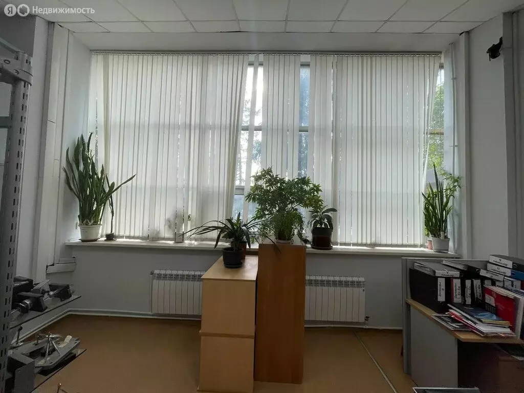 Офис (244.5 м) - Фото 1