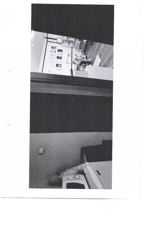 Помещение свободного назначения в Калининградская область, Калининград ... - Фото 1