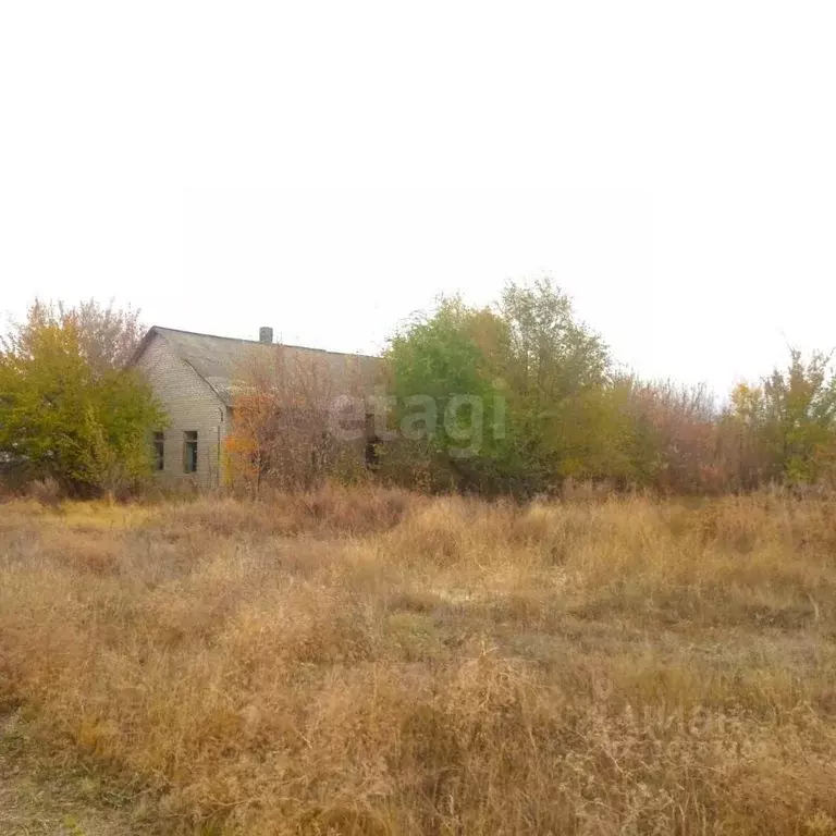 Склад в Волгоградская область, Серафимович Пионерская ул., 52 (5860 м) - Фото 1