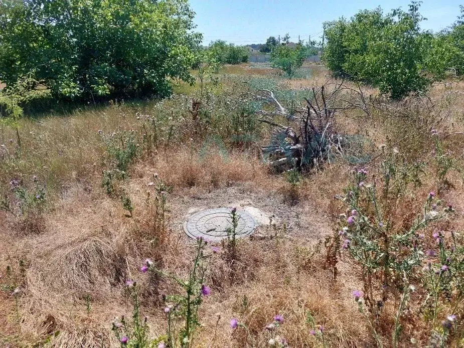 Участок в Крым, Симферопольский район, с. Урожайное, Гаспринского кв-л ... - Фото 2