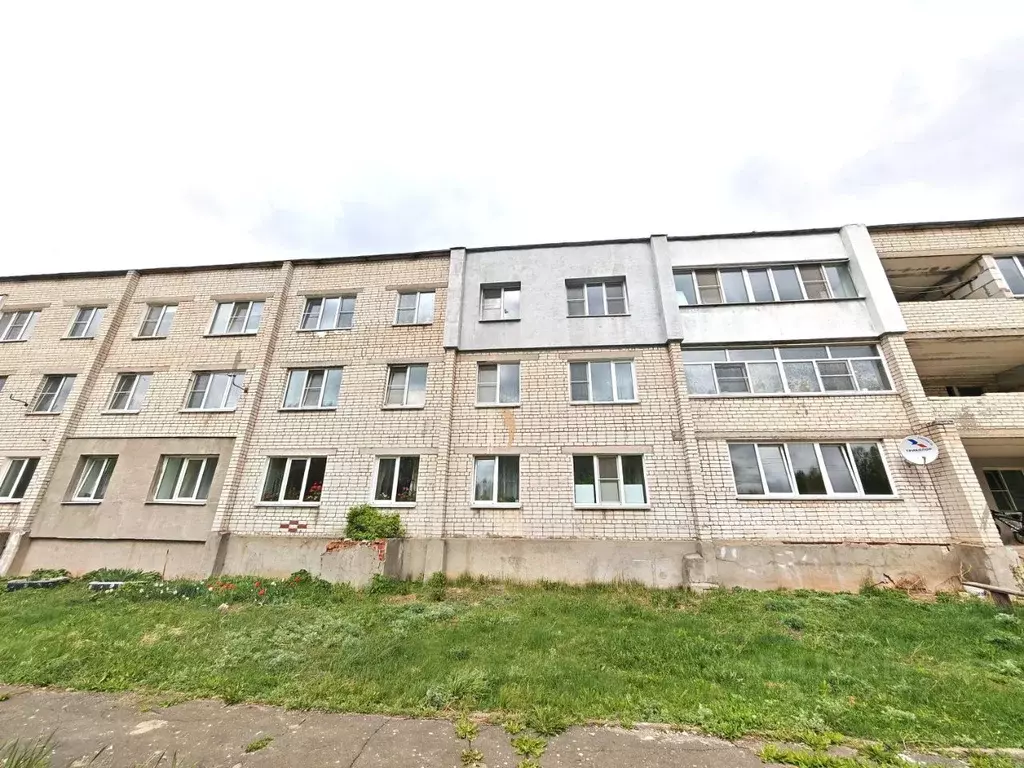 1-к кв. Нижегородская область, Бор муниципальный округ, Деревня ... - Фото 0