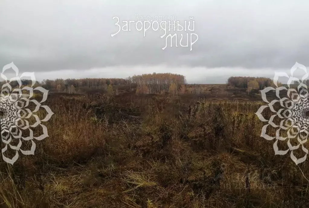 Участок в Тульская область, Заокский район, Демидовское муниципальное ... - Фото 0