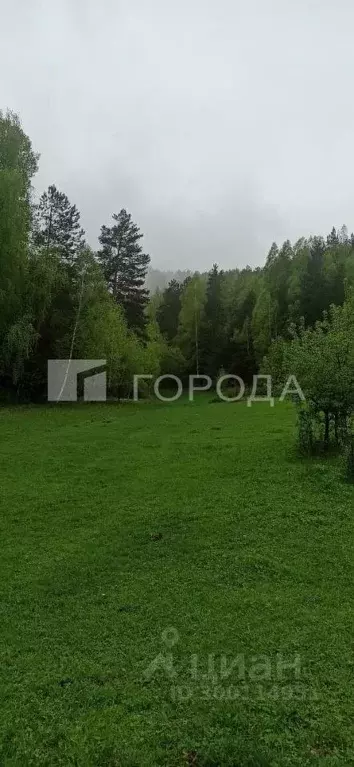 Участок в Алтайский край, Смоленский район, с. Черновая Центральная ... - Фото 0