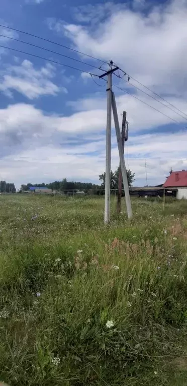 Участок в Свердловская область, Сысертский муниципальный округ, с. ... - Фото 2
