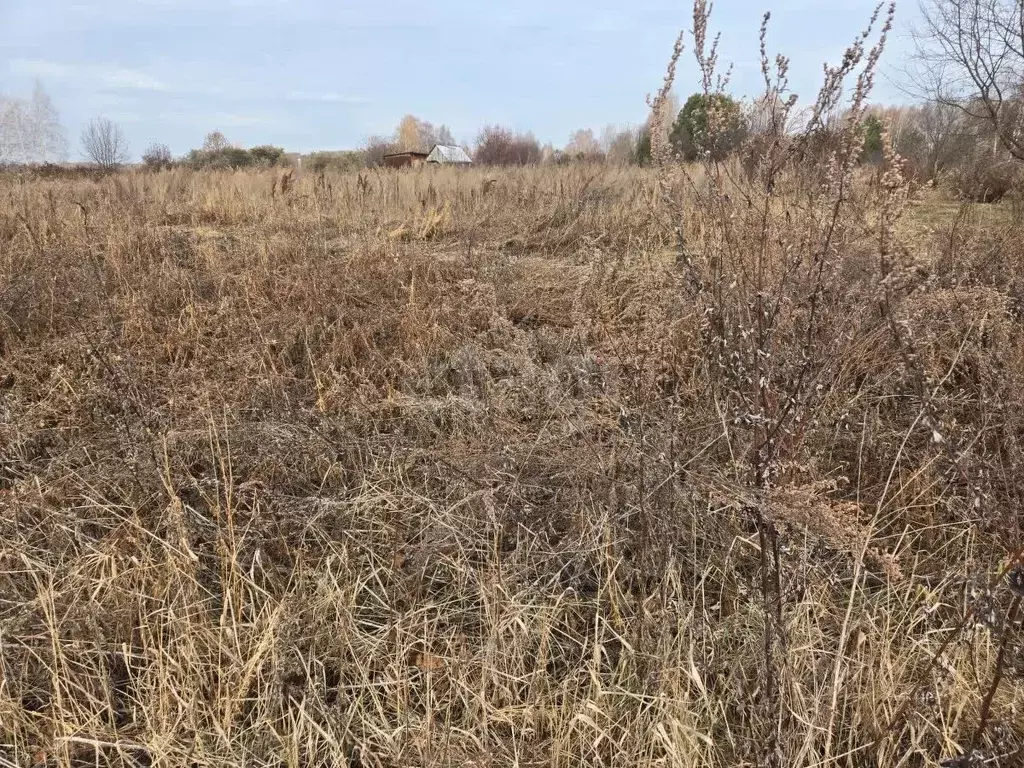 Участок в Томская область, Томский район, Зоркальцевское с/пос, ... - Фото 1