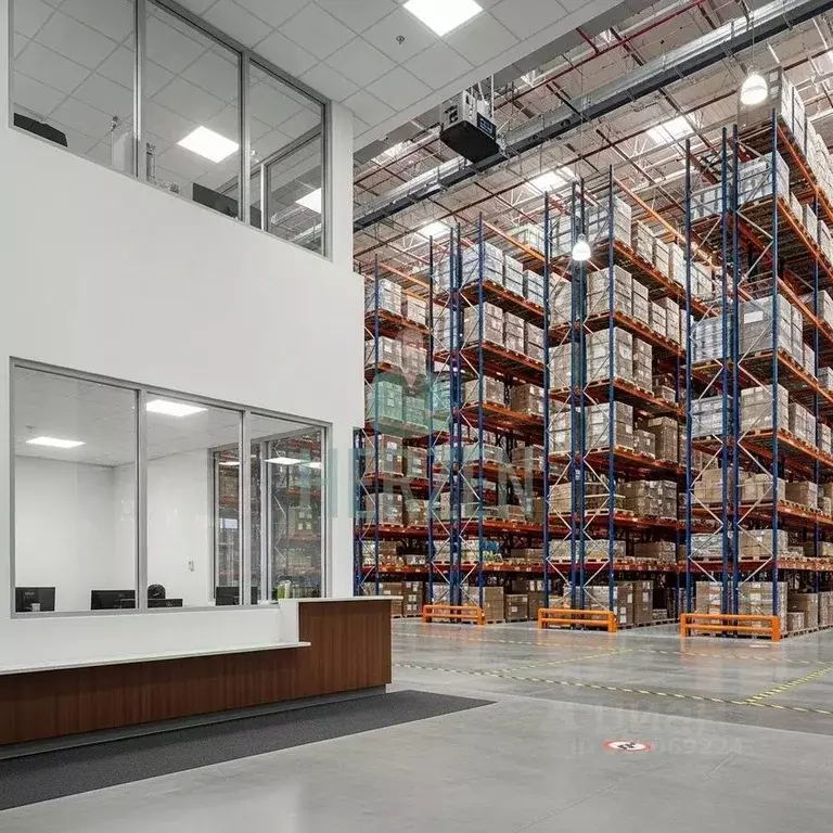 Склад в Московская область, Пушкино ул. Пушкинское поле, вл10с3 (5000 ... - Фото 1