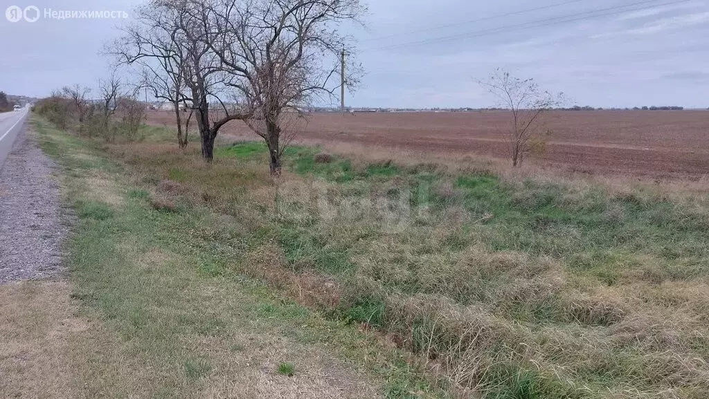 Участок в Заветное, Зелёная улица, 18 (65.1 м) - Фото 1