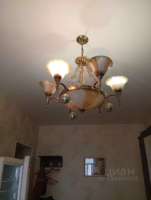 Комната Санкт-Петербург Большеохтинский просп., 23 (33.4 м) - Фото 2