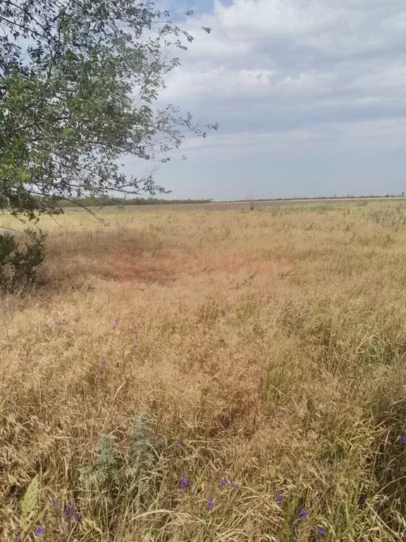 Участок в Ростовская область, Новочеркасск Троицкая пл. (6.0 сот.) - Фото 1