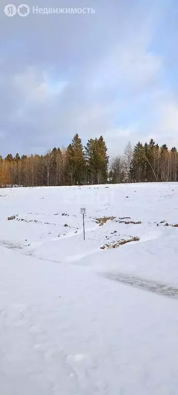 Участок в Добрянский городской округ, деревня Залесная (7.18 м) - Фото 1