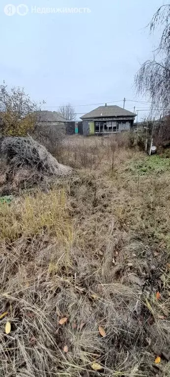 Участок в село Репное, Комсомольская улица (9 м) - Фото 1