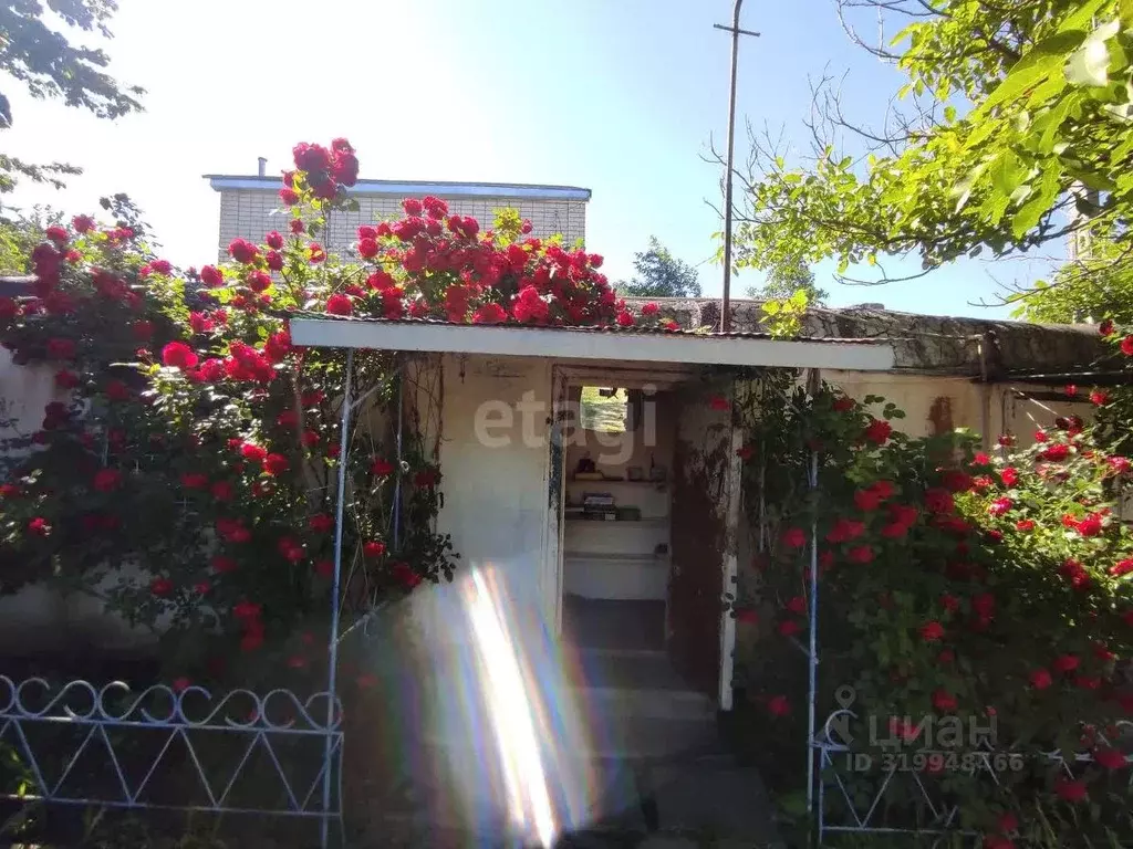 Участок в Ставропольский край, Изобильненский муниципальный округ, ... - Фото 1