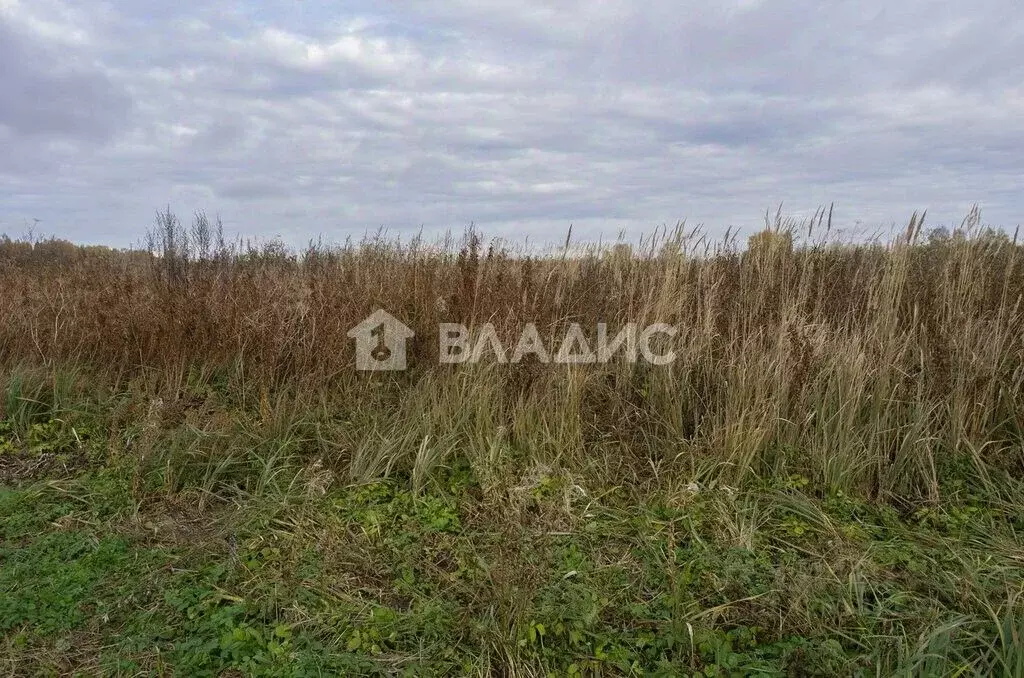 Участок в Ленинградская область, Ломоносовский район, Русско-Высоцкое ... - Фото 2