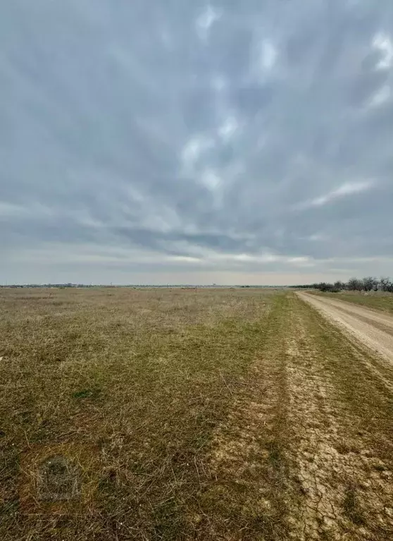 Участок в Крым, Сакский район, с. Уютное ул. Миндальная (8.0 сот.) - Фото 2