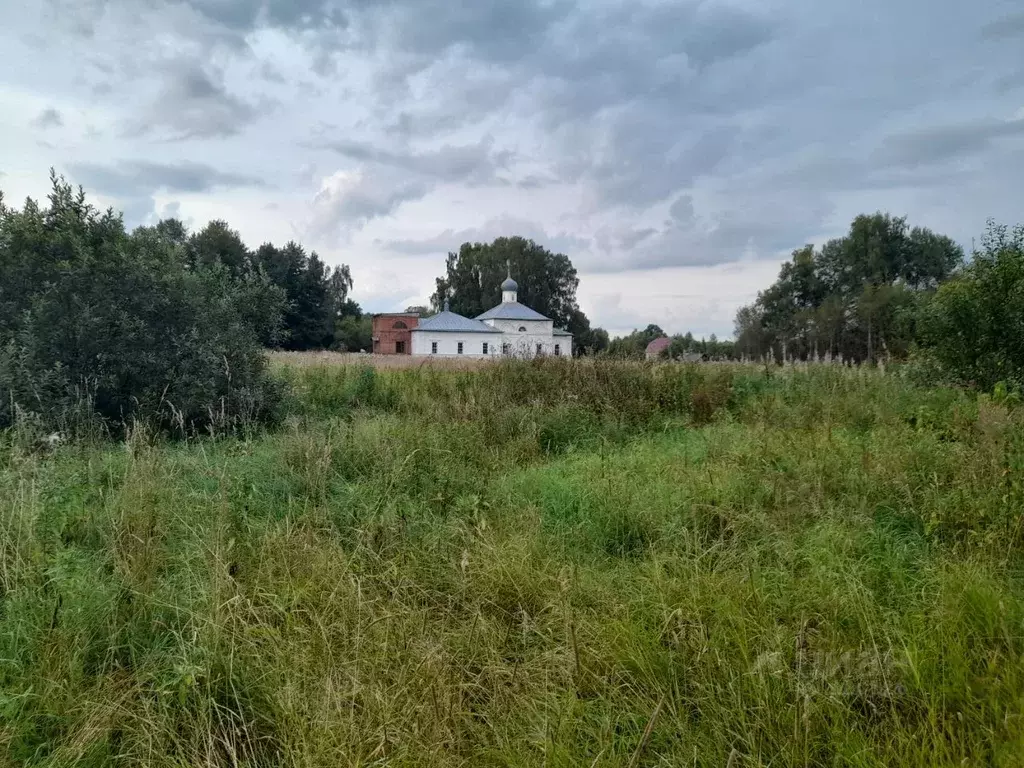 Участок в Владимирская область, Александровский район, Андреевское ... - Фото 0