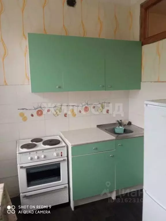 1-к кв. Новосибирская область, Новосибирск Красный просп., 71 (36.0 м) - Фото 0