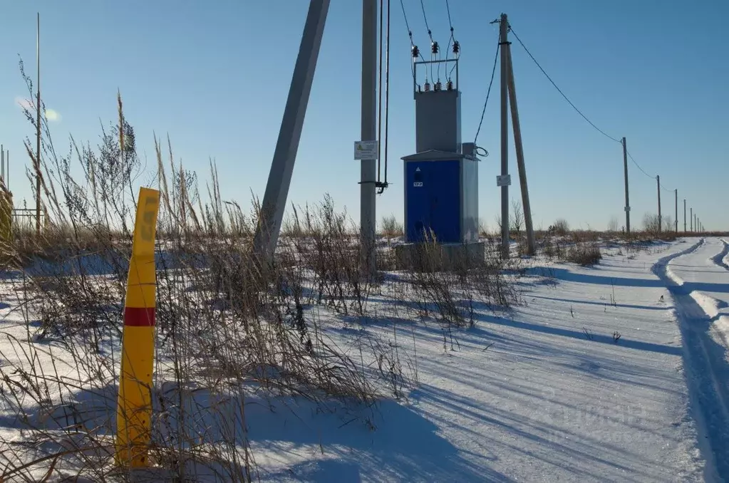 Участок в Пензенская область, с. Бессоновка ул. Российская (15.0 сот.) - Фото 2