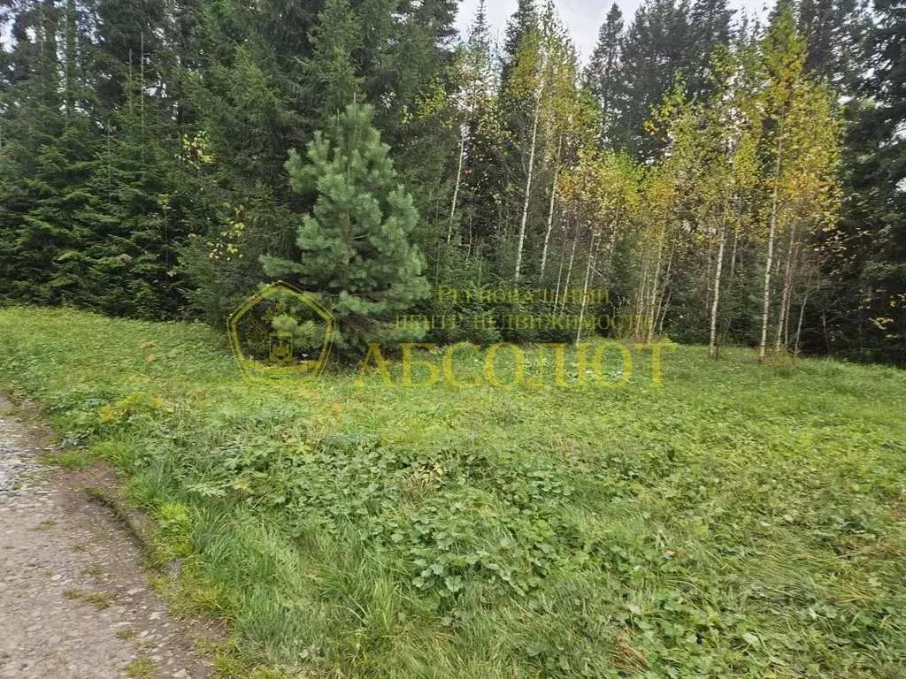 Участок в Свердловская область, Ревда муниципальный округ, пос. ... - Фото 1