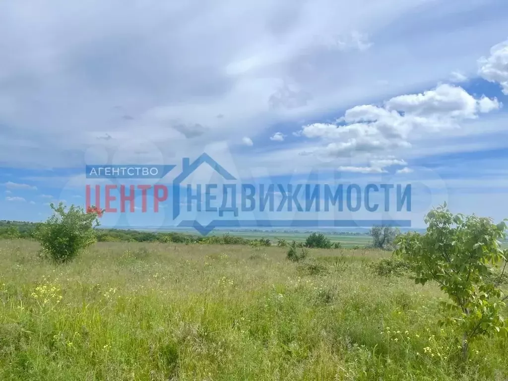 Участок 8,1 сот. (СНТ, ДНП) - Фото 0