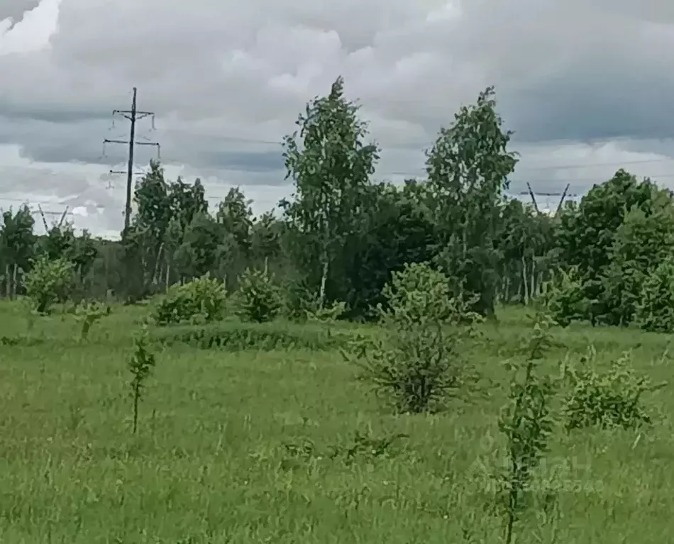 Участок в Московская область, Серпухов городской округ, д. Нефедово  ... - Фото 1