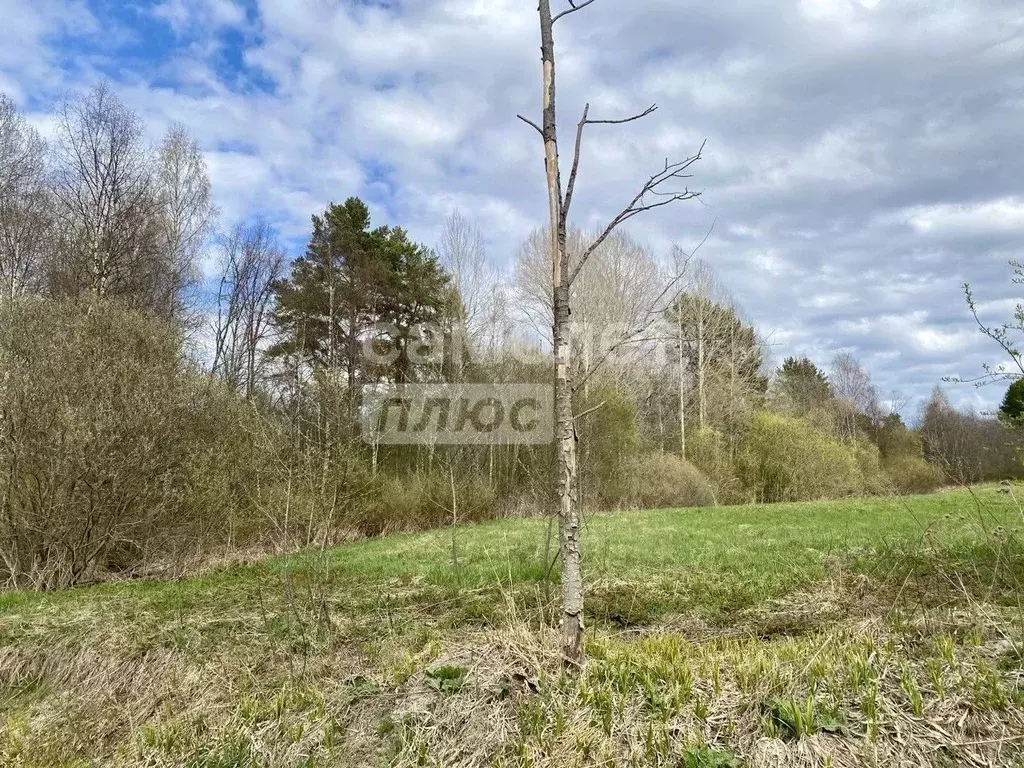 Участок в Карелия, Прионежский район, Заозерское с/пос, д. Ялгуба  ... - Фото 2
