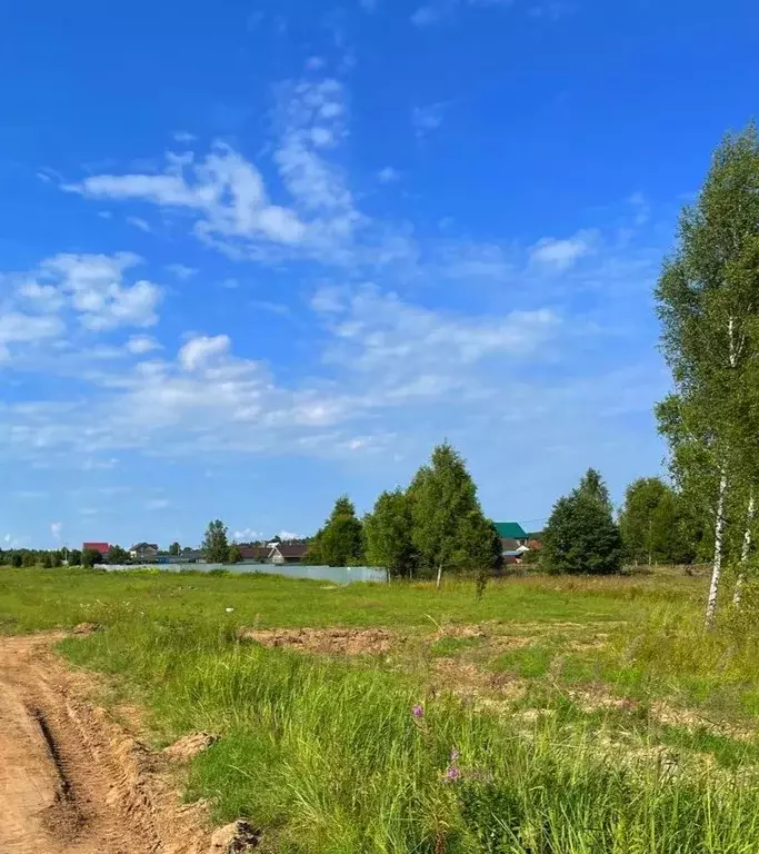 участок в московская область, можайский городской округ, д. денисьево . - Фото 0